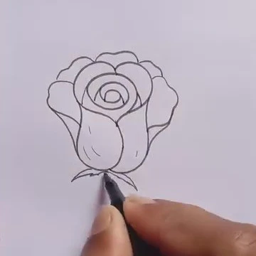 Disegno di una rosa con petali e dettagli