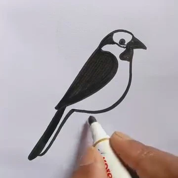 Disegno lineare di un uccello realizzato passo dopo passo