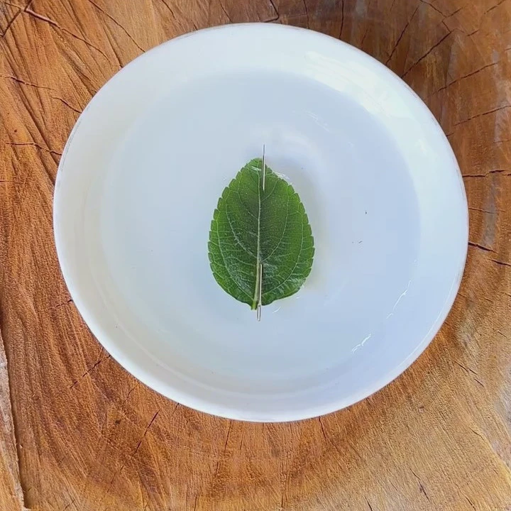 Bussola artigianale