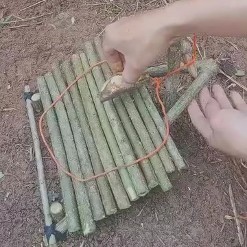 Trappole per volatili