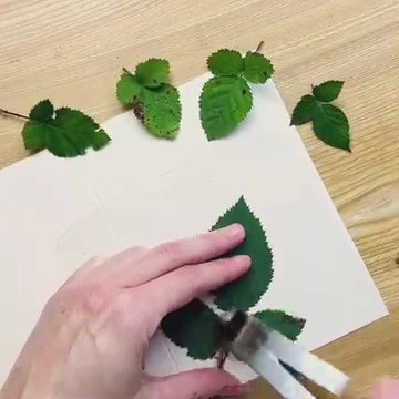 Disegno di foglie e forme vegetali ispirate alla natura