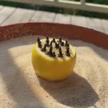 Chiodi di garofani