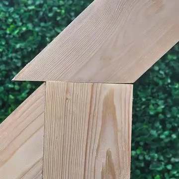 Angolo
