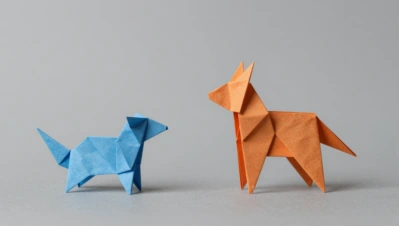 Diagramma di simboli e pieghe base dell'origami